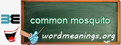 WordMeaning blackboard for common mosquito